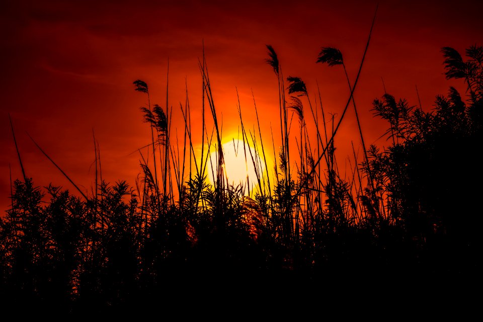 Sky Nature Sun Sunset