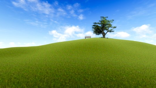 Grassland Sky Field Ecosystem