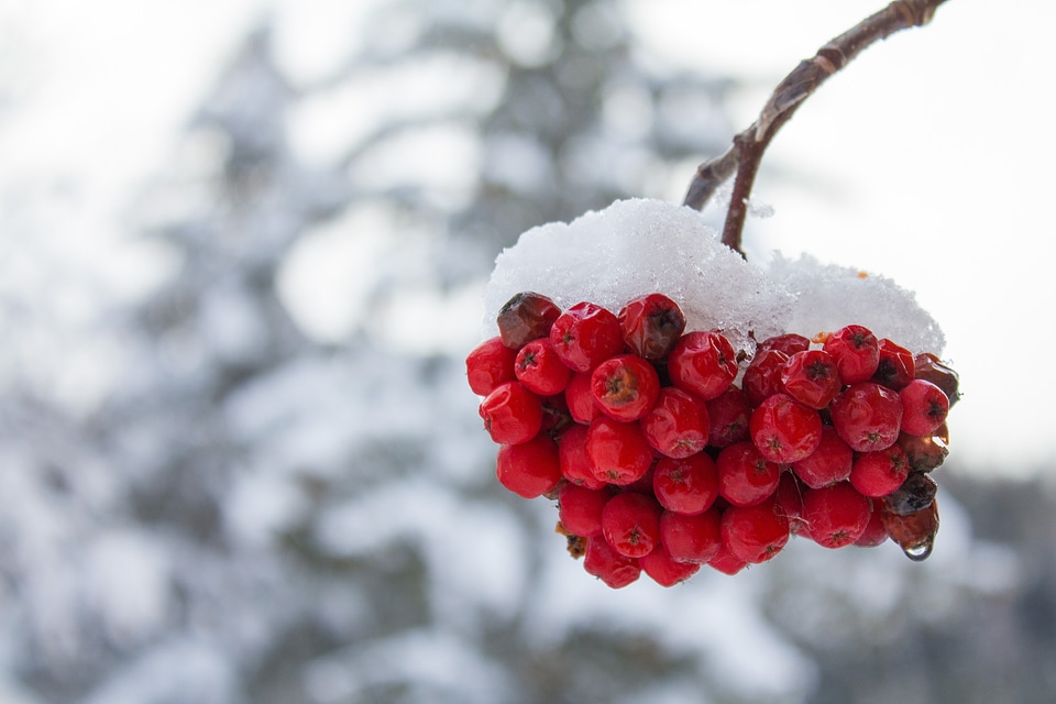 Cold snow mountain