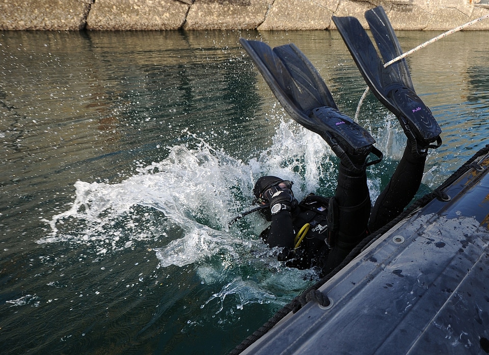 Water military frogman