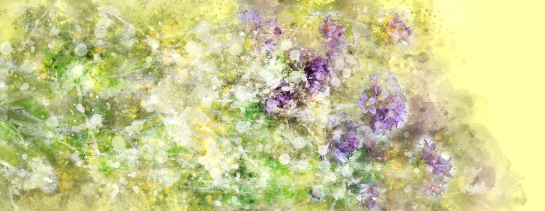 Flower Lilac Watercolor Paint Lavender photo