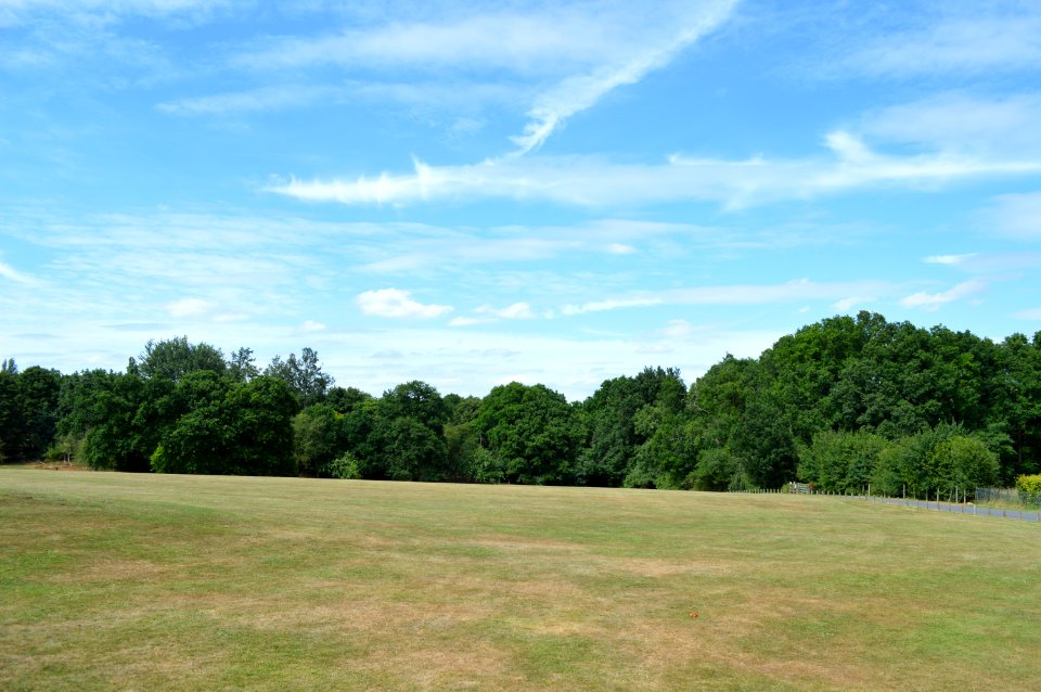 Sky Grassland Cloud Pasture