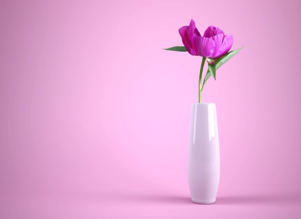 Flower Vase Purple Flowering Plant