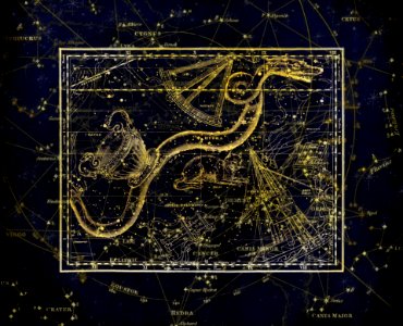 Night Fractal Art Organism Computer Wallpaper photo
