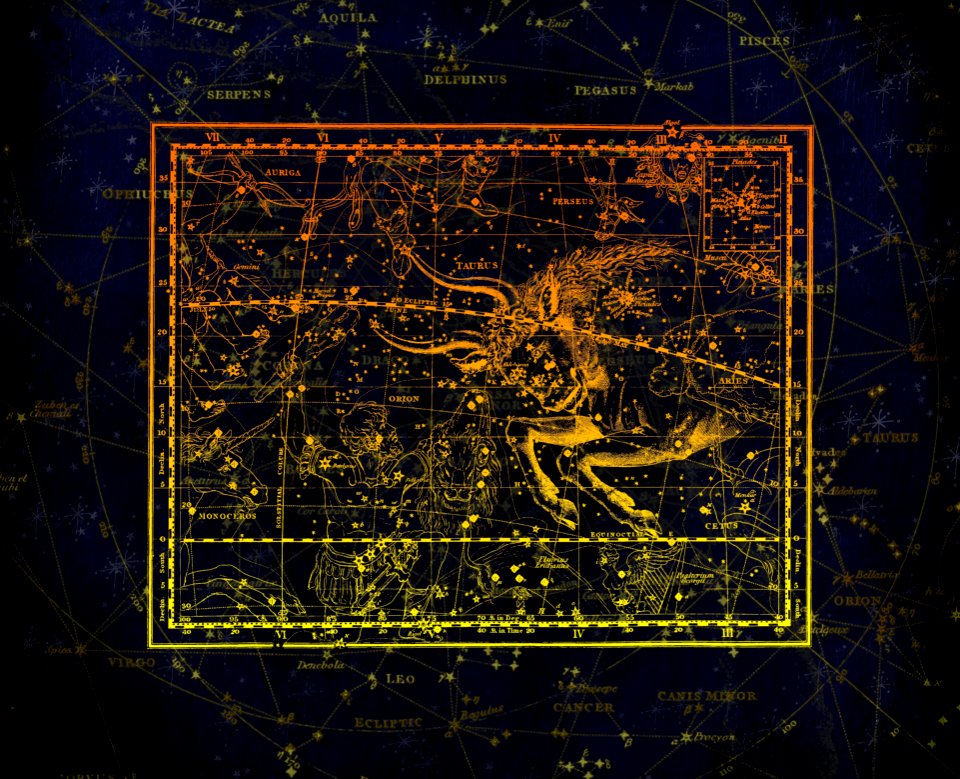 Atmosphere Texture Organism Area