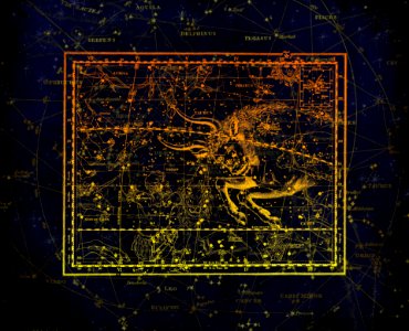 Atmosphere Texture Organism Area