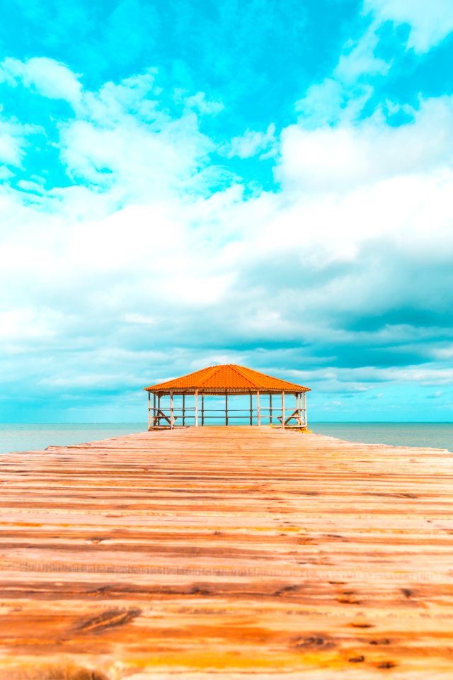 Brown Wooden Hut