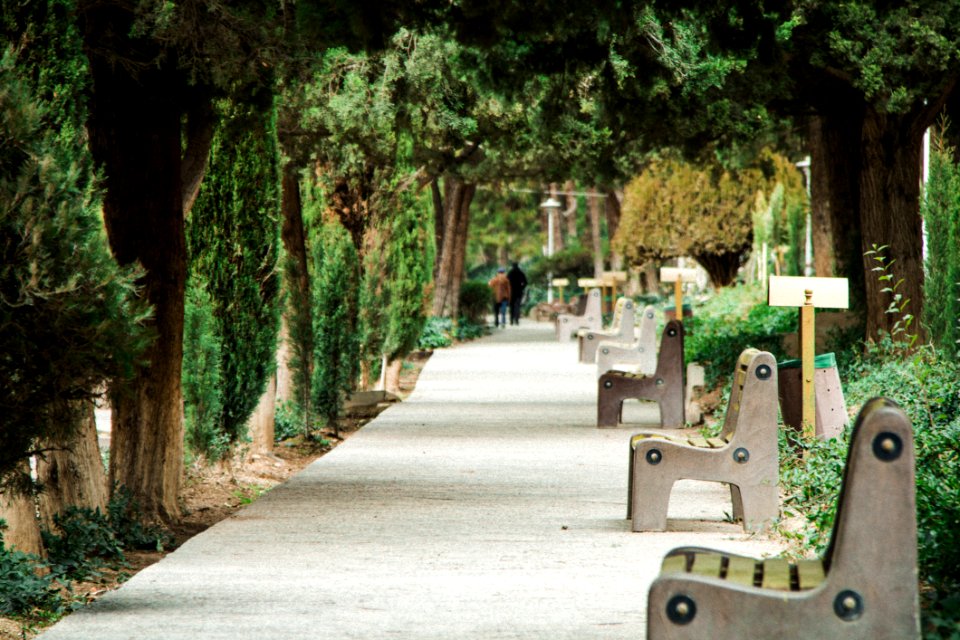 Gray Bench On Park