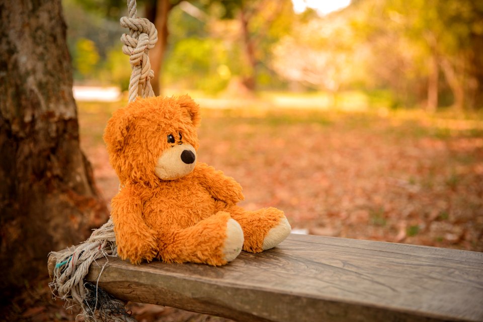 Close-Up Photography Of Teddy Bear On Wooden Swing