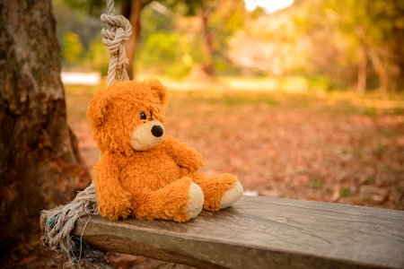 Close-Up Photography Of Teddy Bear On Wooden Swing photo