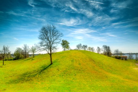 Green Grass Field photo