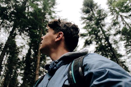Man In Blue Hooded Jacket Under Tall Trees