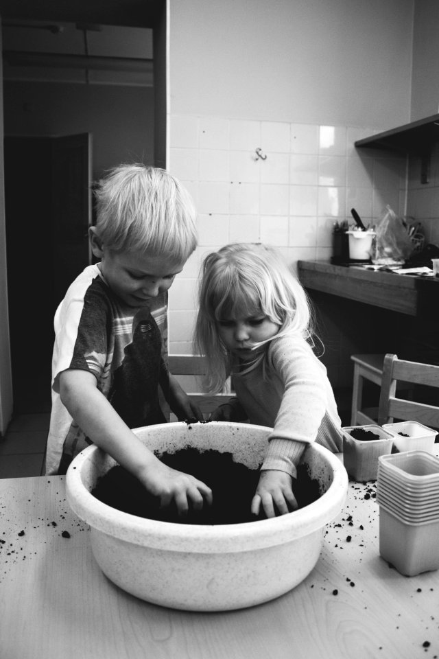 Two Boy And Girl Holding Mud