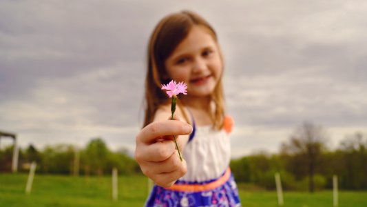 Selective Focus Photography Of Girl Holding Pink Flower photo