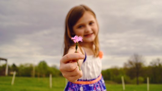 Selective Focus Photography Of Girl Holding Pink Flower