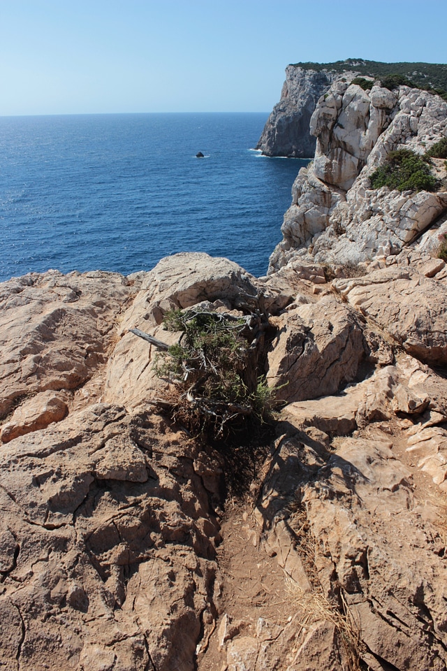 Sea sardinia landscape