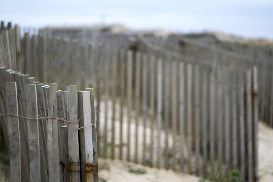 Shallow Focus Photography Of Brown Wooden Fence