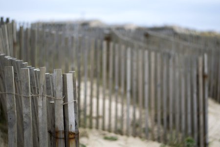 Shallow Focus Photography Of Brown Wooden Fence photo