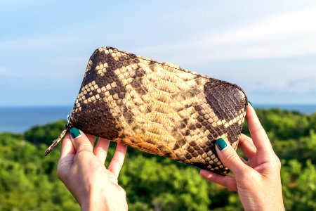 Brown And Black Snakeskin Leather Zip-around Purse