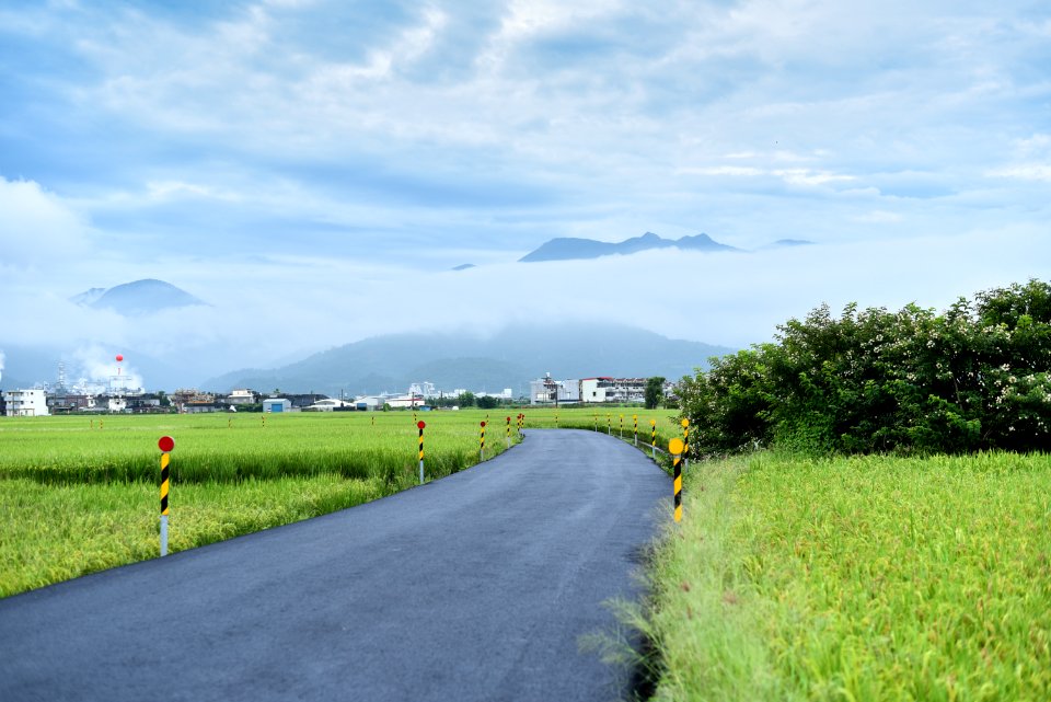 Road Surround By Green Grass