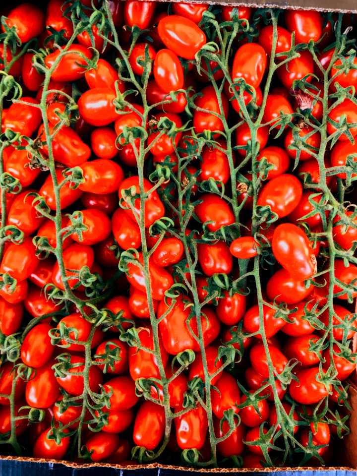 Photography Of Tomatoes On Box