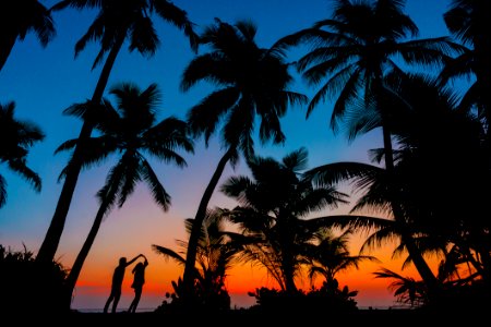 Silhouette Photography Of Man And Woman Beside Trees During Sunset photo