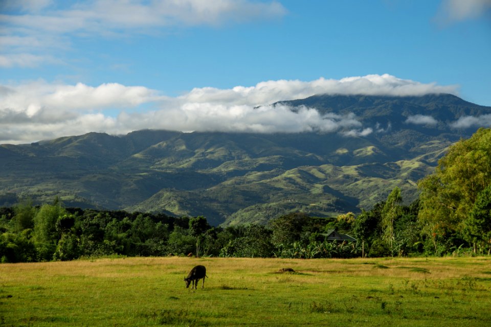 Mountain Range Under By Clouds