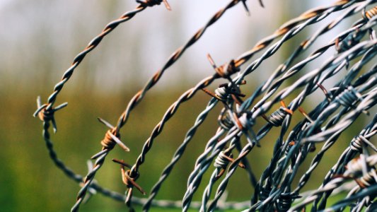 Close-Up Photography Of Barbed Wire photo