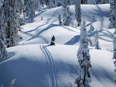 Person Riding Snowmobile Near Green Trees Covered With Snow At Daytime photo