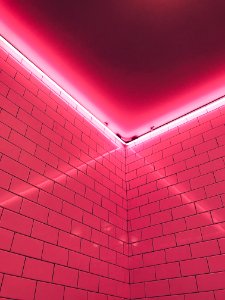 Pink Light Fixture photo