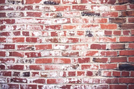 Photo Of Red Brickwall photo