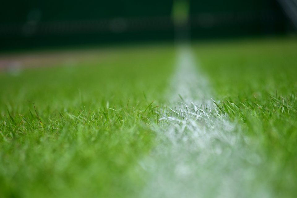 Close-Up Photography Of Green Leaves