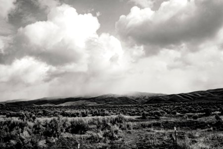 White Clouds