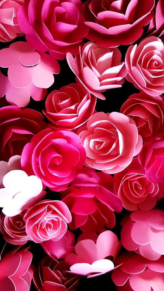 Paper Roses
