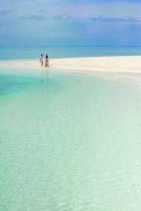 Two Person Walking On Beach photo