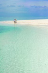 Two Person Walking On Beach