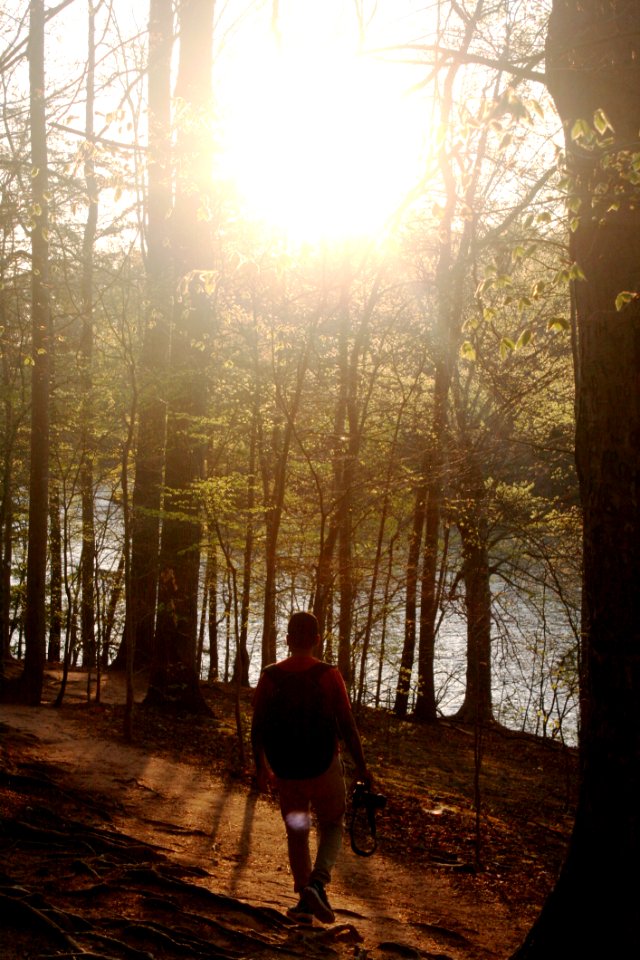 Man Walking Through The Forest