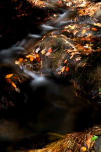 Autumn Blur Creek