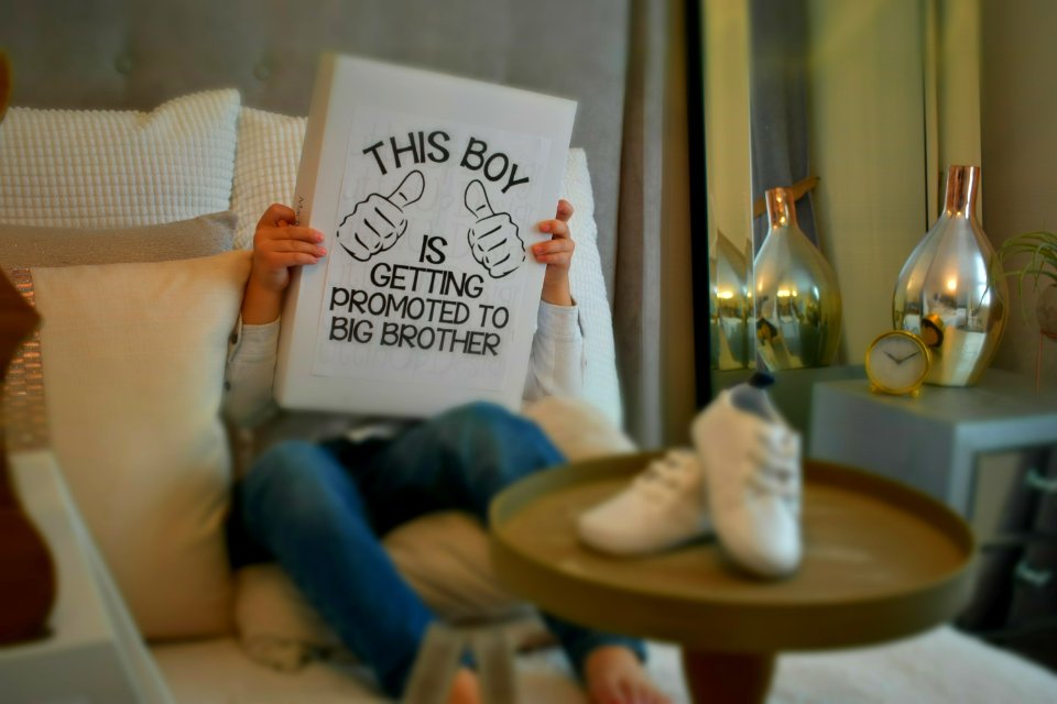 Person Holding Book
