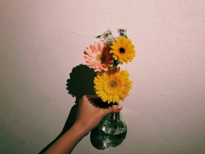 Person Holding Clear Glass Vase With Flowers photo