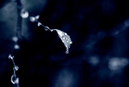 Photo Of Water Droplet