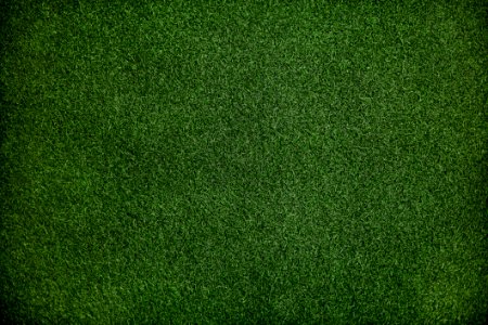 Green Lawn Grass