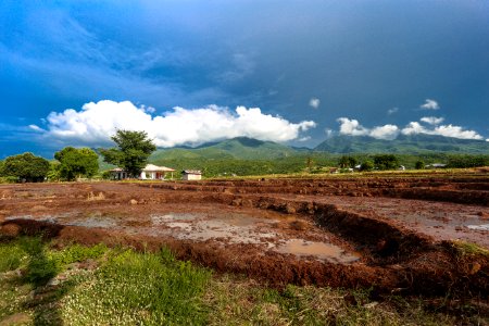Photography Of Empty Ricefield