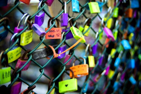 Green Chain-link Fence With Assorted-color Padlocks photo
