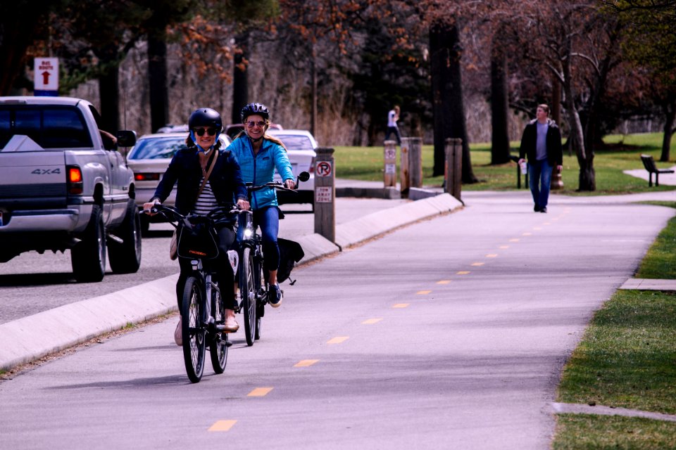 Two Man And Woman Riding Bicycles On Road