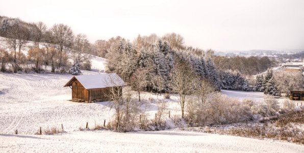 Snow Covered Trees Under Cloudy Sky photo