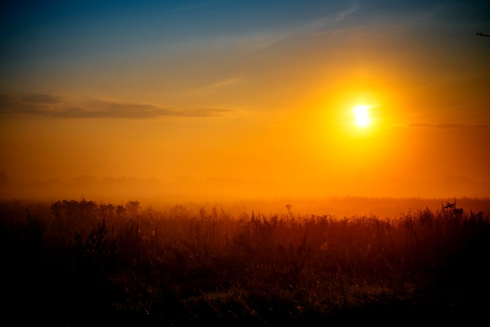 Silhouette Photography Of Grass Field