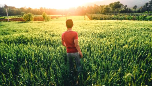 Man Walking Through Field