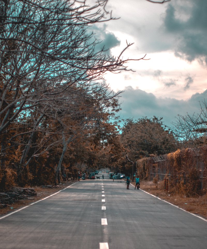 Photo Of Road Near Trees