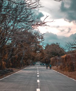 Photo Of Road Near Trees photo